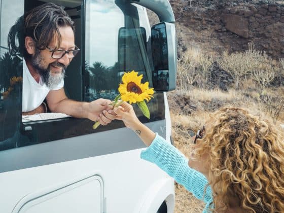 Od stresu do ukojenia – o mocy kwiatów w dniu, kiedy wszystko idzie nie tak (nawet auto)